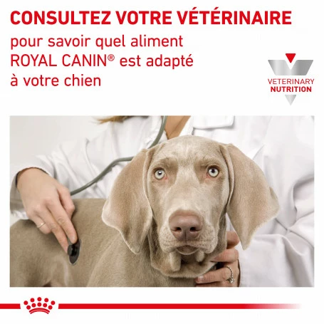 ROYAL CANIN Dog Mobility Support 7 ROYAL CANIN Dog Mobility Support – Image 7