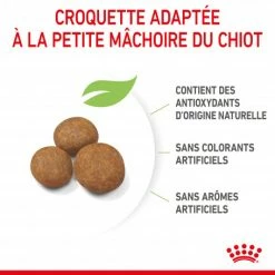 ROYAL CANIN Dog Puppy Giant -nourriture pour chien boutique dog puppy giant 2