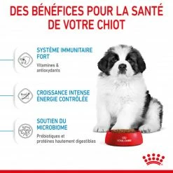 ROYAL CANIN Dog Puppy Giant -nourriture pour chien boutique dog puppy giant 4