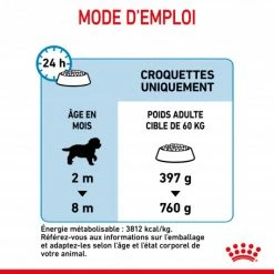 ROYAL CANIN Dog Puppy Giant -nourriture pour chien boutique dog puppy giant 5