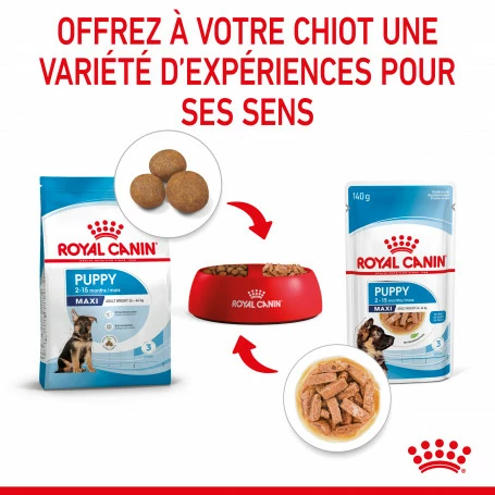 ROYAL CANIN Dog Puppy Maxi Sachet Repas 6 ROYAL CANIN Dog Puppy Maxi Sachet Repas – Image 6