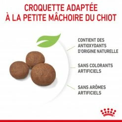 ROYAL CANIN Dog Puppy Medium 10 ROYAL CANIN Dog Puppy Medium -nourriture pour chien boutique dog puppy medium 2