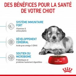 ROYAL CANIN Dog Puppy Medium 12 ROYAL CANIN Dog Puppy Medium -nourriture pour chien boutique dog puppy medium 4