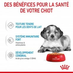 ROYAL CANIN Dog Puppy Medium Sachet Repas 13 ROYAL CANIN Dog Puppy Medium Sachet Repas -nourriture pour chien boutique dog puppy medium sachet repas 4