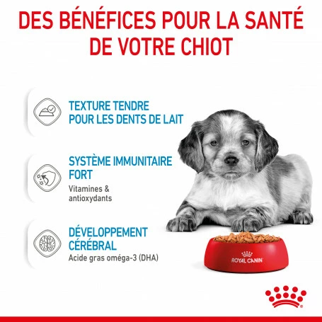 ROYAL CANIN Dog Puppy Medium Sachet Repas 5 ROYAL CANIN Dog Puppy Medium Sachet Repas – Image 5