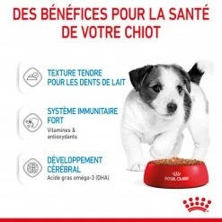 ROYAL CANIN Dog Puppy Mini Sachet Repas -nourriture pour chien boutique dog puppy mini sachet repas 4