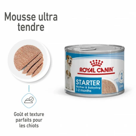 ROYAL CANIN Dog Starter Mother & Babydog Mousse Boîte 2 ROYAL CANIN Dog Starter Mother & Babydog Mousse Boîte – Image 2