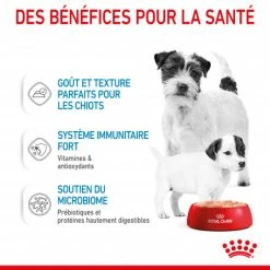 ROYAL CANIN Dog Starter Mother & Babydog Mousse Boîte 9 ROYAL CANIN Dog Starter Mother & Babydog Mousse Boîte -nourriture pour chien boutique dog starter mother babycat mousse boite 3