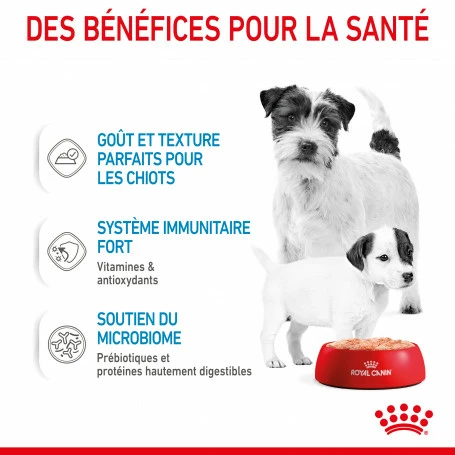 ROYAL CANIN Dog Starter Mother & Babydog Mousse Boîte 4 ROYAL CANIN Dog Starter Mother & Babydog Mousse Boîte – Image 4