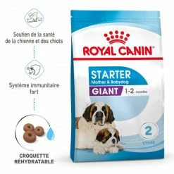 ROYAL CANIN Dog Starter Mother & Babydog Giant -nourriture pour chien boutique dog starter mother babydog giant 1