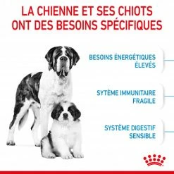ROYAL CANIN Dog Starter Mother & Babydog Giant -nourriture pour chien boutique dog starter mother babydog giant 3