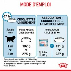 ROYAL CANIN Dog Starter Mother & Babydog Giant -nourriture pour chien boutique dog starter mother babydog giant 5