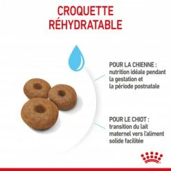 ROYAL CANIN Dog Starter Mother & Babydog Maxi -nourriture pour chien boutique dog starter mother babydog maxi 2