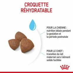 ROYAL CANIN Dog Starter Mother & Babydog Medium -nourriture pour chien boutique dog starter mother babydog medium 2