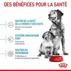 ROYAL CANIN Dog Starter Mother & Babydog Medium -nourriture pour chien boutique dog starter mother babydog medium 4