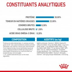 ROYAL CANIN Dog Starter Mother & Babydog Medium -nourriture pour chien boutique dog starter mother babydog medium 7
