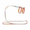 Materiel Ensemble Harnais / Laisse Chat Hunter