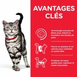 HILL'S Pet Nutrition Feline Adult Hairball Indoor Poulet -nourriture pour chien boutique feline adult hairball indoor poulet 1