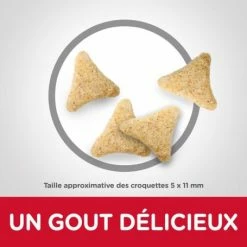 HILL'S Pet Nutrition Feline Adult Hairball Indoor Poulet -nourriture pour chien boutique feline adult hairball indoor poulet 2