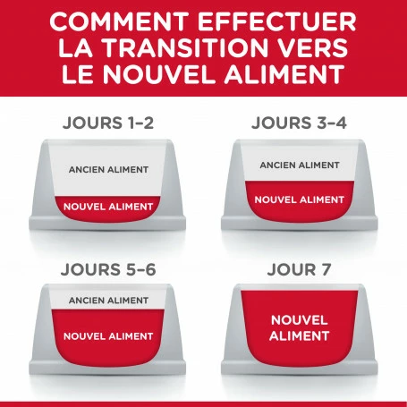 HILL'S Pet Nutrition Feline Adult Light Pack Mixte Sachet Repas 5 HILL'S Pet Nutrition Feline Adult Light Pack Mixte Sachet Repas – Image 5