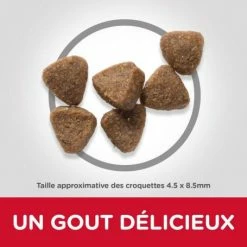 HILL'S Pet Nutrition Feline Adult Poulet Optimal Care -nourriture pour chien boutique feline adult poulet optimal care 2