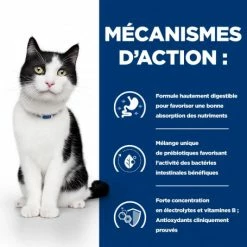 HILL'S Pet Nutrition I/D Digestive Mijotés Pour Chat Et Chaton Poulet & Légumes -nourriture pour chien boutique feline i d digestive care activ biome boite 12