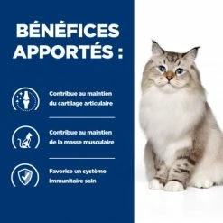 HILL'S Pet Nutrition J/D Mobility Croquettes Pour Chat Au Poulet -nourriture pour chien boutique feline j d 2
