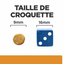 HILL'S Pet Nutrition K/D J/D Kidney+Mobility Croquettes Pour Chat Au Poulet -nourriture pour chien boutique feline k d mobility poulet 5