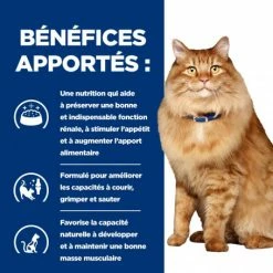 HILL'S Pet Nutrition K/D J/D Kidney+Mobility Sachet Repas Pour Chat Poulet -nourriture pour chien boutique feline k d mobility poulet sachet repas 3