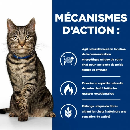 HILL'S Pet Nutrition Metabolic Croquettes Pour Chat Au Poulet 3 HILL'S Pet Nutrition Metabolic Croquettes Pour Chat Au Poulet – Image 3