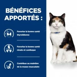HILL'S Pet Nutrition Y/d Thyroid Boîte Pour Chat 11 HILL'S Pet Nutrition Y/d Thyroid Boîte Pour Chat -nourriture pour chien boutique feline y d boite 3