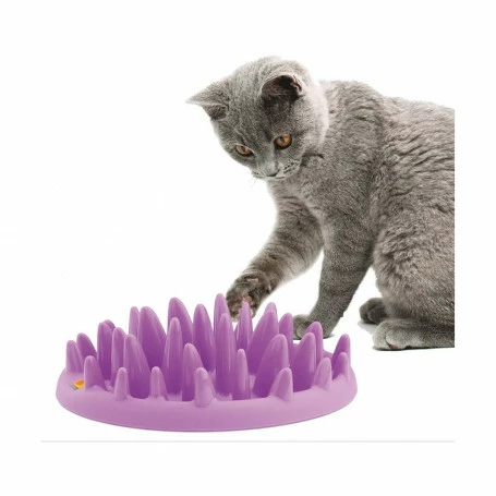 Materiel Gamelle Catch Interactive Cat Feeder Pour Chat 1 Materiel Gamelle Catch Interactive Cat Feeder Pour Chat