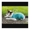 Materiel Gilet CatBody VetMedCare Pour Chat