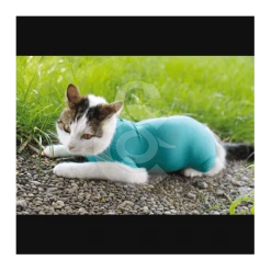 Materiel Gilet CatBody VetMedCare Pour Chat