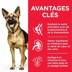 HILL'S Pet Nutrition Canine Mature Adult 6+ Large Breed Poulet -nourriture pour chien boutique hills canine mature adult 6 large breed poulet 1