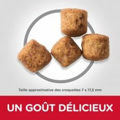 HILL'S Pet Nutrition Canine Mature Adult 6+ Large Breed Poulet -nourriture pour chien boutique hills canine mature adult 6 large breed poulet 2