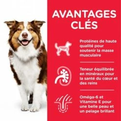 HILL'S Pet Nutrition Canine Mature Adult 7+ Medium Poulet -nourriture pour chien boutique hills canine mature adult 7 medium poulet 1