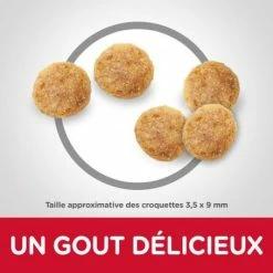 HILL'S Pet Nutrition Feline Mature Adult 7+ Poulet -nourriture pour chien boutique hills feline mature adult 7 poulet 2