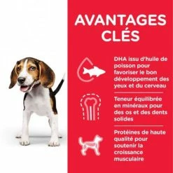 HILL'S Pet Nutrition Puppy Medium Poulet Healthy Development 4 HILL'S Pet Nutrition Puppy Medium Poulet Healthy Development -nourriture pour chien boutique hills puppy medium poulet healthy development 1