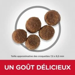 HILL'S Pet Nutrition Puppy Medium Poulet Healthy Development 5 HILL'S Pet Nutrition Puppy Medium Poulet Healthy Development -nourriture pour chien boutique hills puppy medium poulet healthy development 2