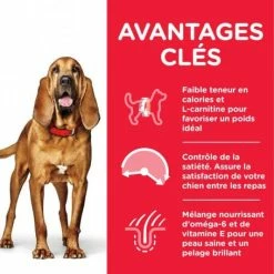 HILL'S Pet Nutrition Canine Mature Adult 7+ Light Medium Poulet -nourriture pour chien boutique hils canine mature adult 7 light medium poulet 1
