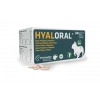 Pharmadiet Hyaloral Chiot, Petites Et Moyennes Races