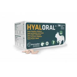 Pharmadiet Hyaloral Chiot, Petites Et Moyennes Races