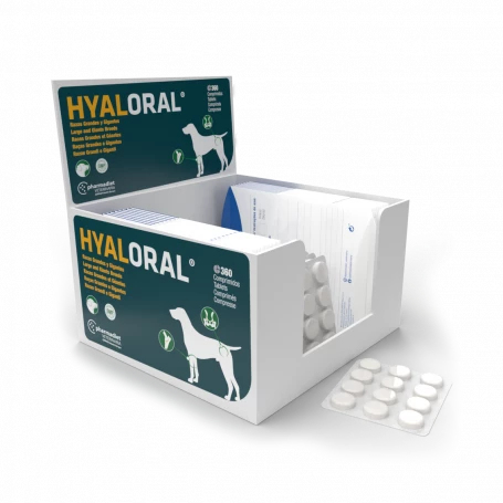 Pharmadiet Hyaloral Grandes Et Très Grandes Races 2 Pharmadiet Hyaloral Grandes Et Très Grandes Races – Image 2