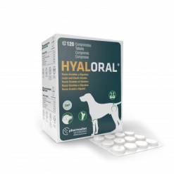Pharmadiet Hyaloral Grandes Et Très Grandes Races