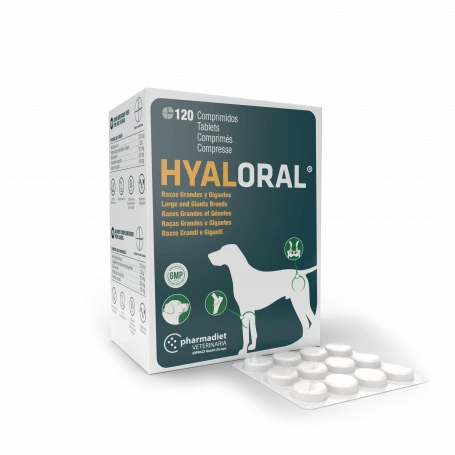 Pharmadiet Hyaloral Grandes Et Très Grandes Races 1 Pharmadiet Hyaloral Grandes Et Très Grandes Races