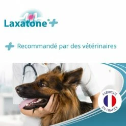 CEVA Laxatone Plus 11 CEVA Laxatone Plus -nourriture pour chien boutique laxatone plus 5