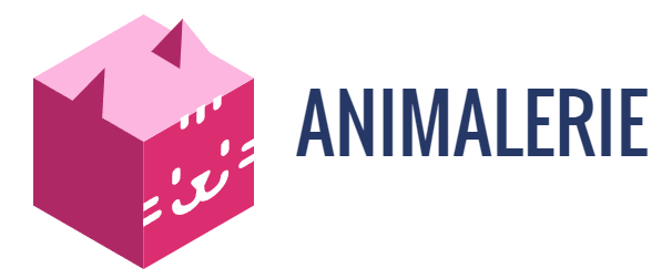 nourriture pour chien boutique