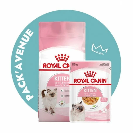 Pack'Avenue Royal Canin CAT KITTEN 10KG Avec Sachets émincé En Gelée -nourriture pour chien boutique pack croquettes chatons Royal Canin