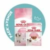 Pack'Avenue Royal Canin CAT KITTEN 10KG Avec Sauce En Sachet Repas